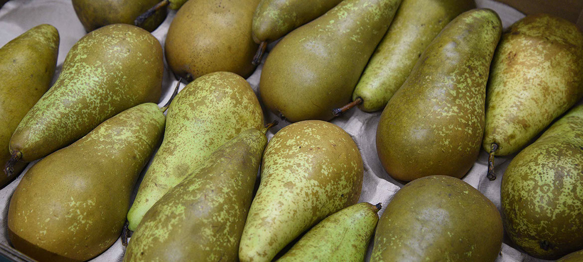 Maggie's Fruit and Veg sell a variety of fresh fruit from our store in Portree on the Isle of Skye