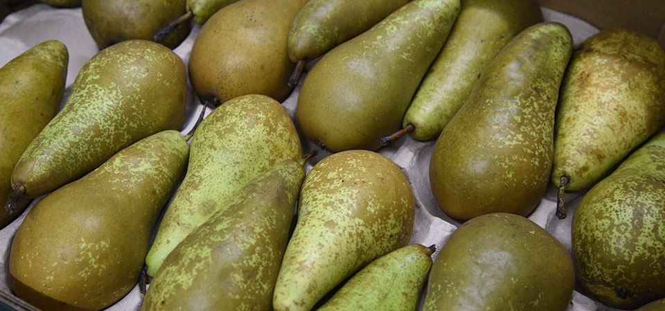 Maggie's Fruit and Veg sell a variety of fresh fruit from our store in Portree on the Isle of Skye