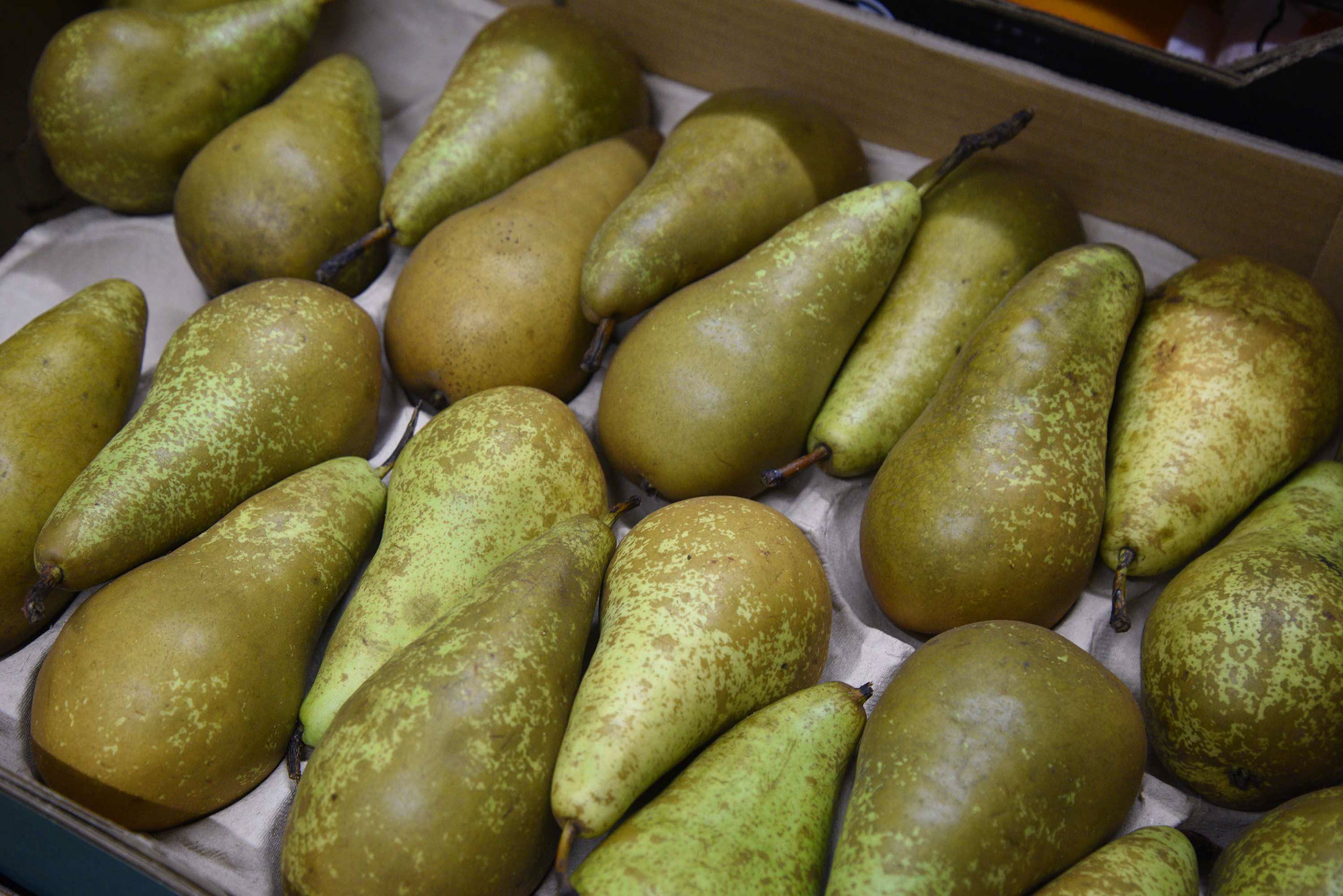 Enjoy a welcome hamper on arrival at Thistle Dubh Dandy self catering accommodation