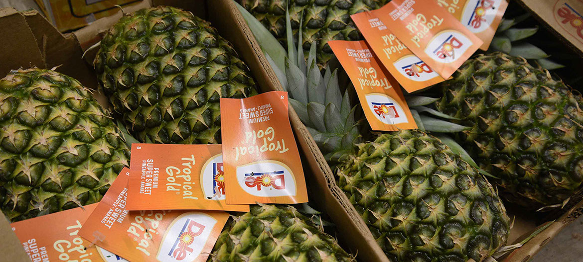 Fresh fruit can be purchased from Maggie's Fruit and Veg in Portree on the Isle of Skye