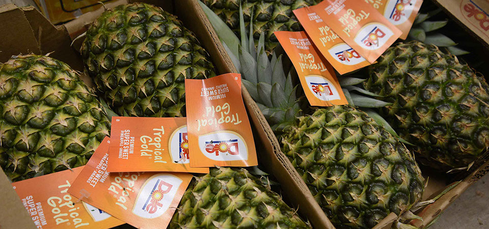 Fresh fruit can be purchased from Maggie's Fruit and Veg in Portree on the Isle of Skye