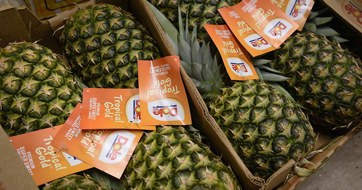 Fresh fruit can be purchased from Maggie's Fruit and Veg in Portree on the Isle of Skye