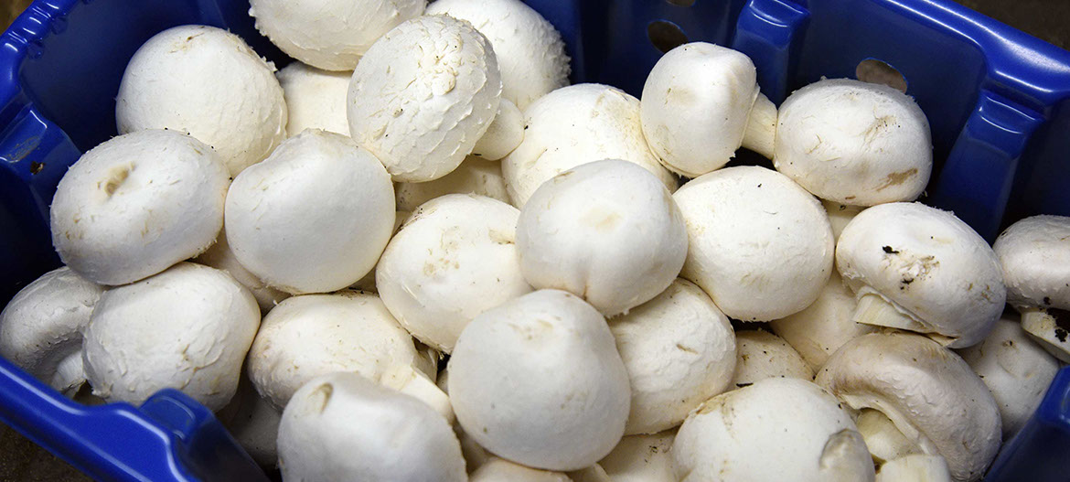 Purchase fresh fruit and vegetables in Portree from Maggie's Fruit and Veg