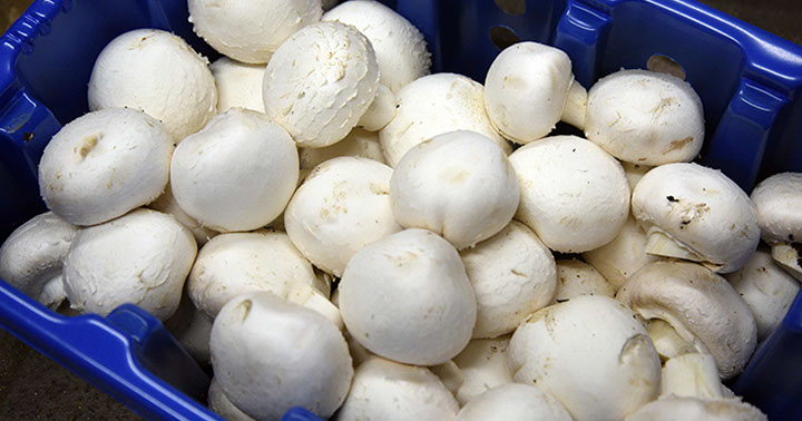 Purchase fresh fruit and vegetables in Portree from Maggie's Fruit and Veg