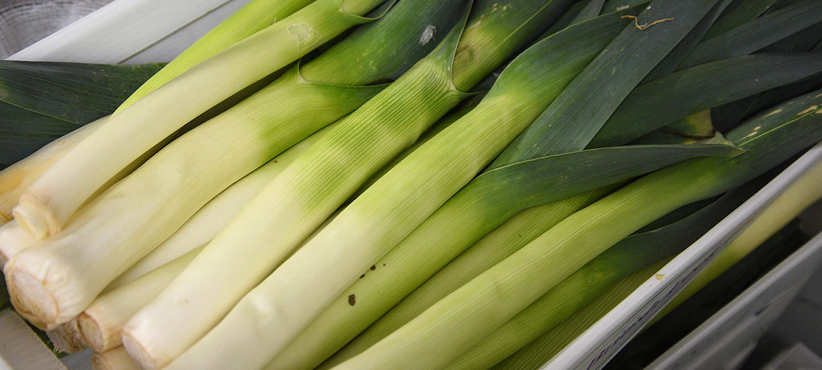 Maggie's Fruit and Veg sell fresh vegetables from our store in Portree on the Isle of Skye