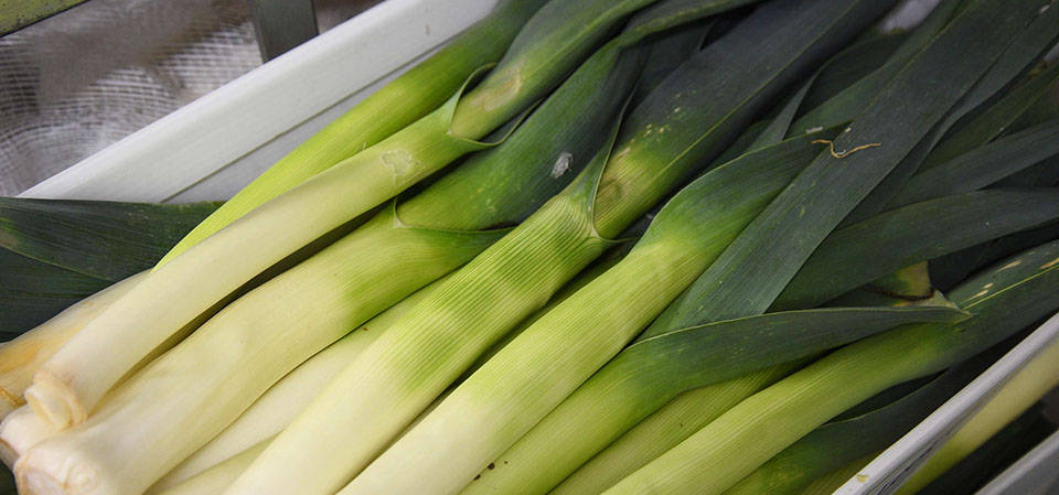 Maggie's Fruit and Veg sell fresh vegetables from our store in Portree on the Isle of Skye