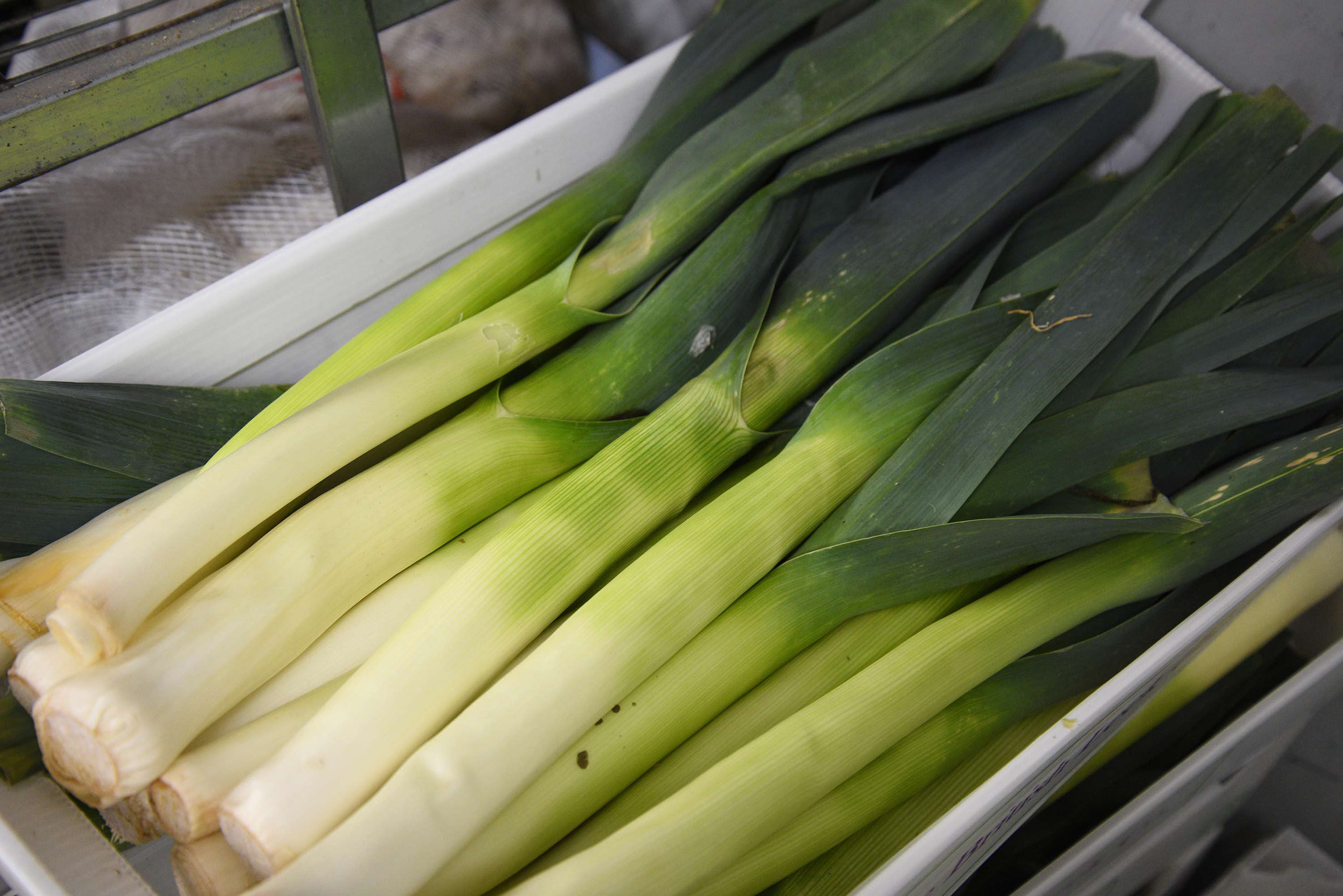 Thistle Dubh Dandy is a self catering accommodation in Portree with open plan design