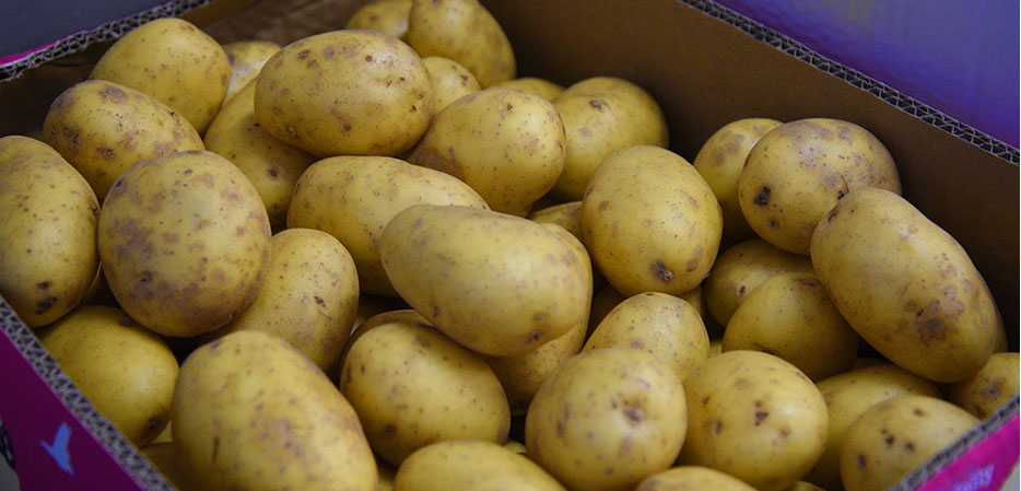 Maggie's Fruit and Veg has everything you will require including fresh vegetables from our Portree shop