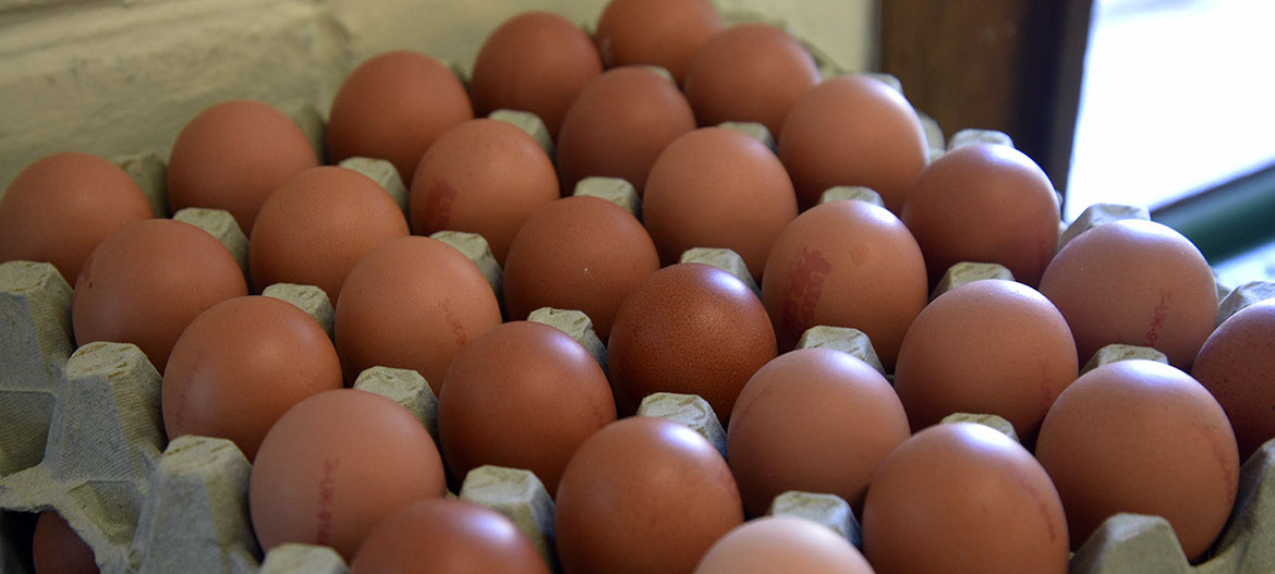 Maggie's Fruit and Veg is a company that provides fresh fruit and vegetables in Portree on the Isle of Skye