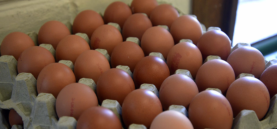 Maggie's Fruit and Veg is a company that provides fresh fruit and vegetables in Portree on the Isle of Skye