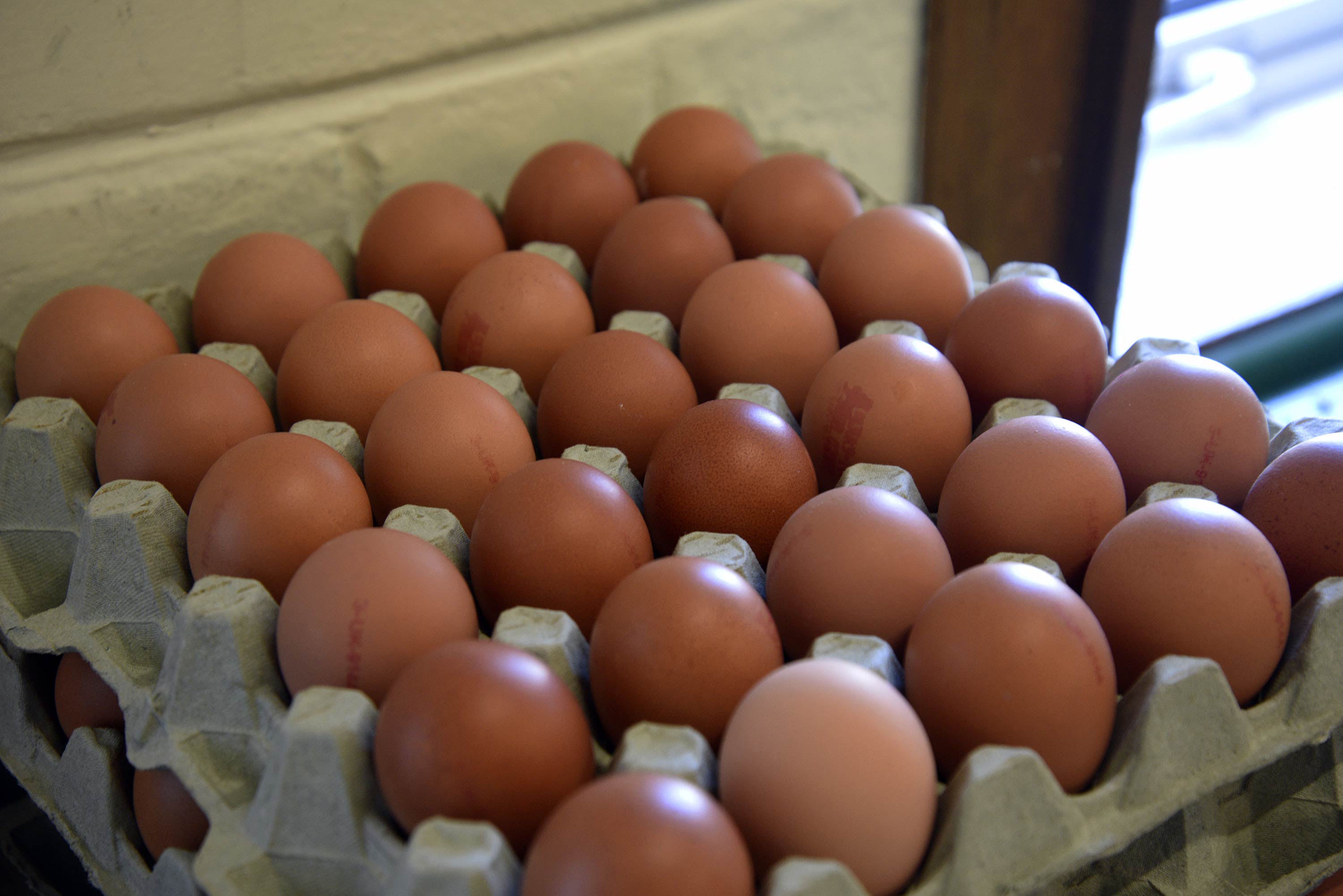 Thistle Dubh Dandy is a self catering accommodation in Portree with open plan design