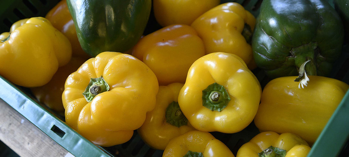 Our wholesale shop in Portree sells excellent food inclduing fresh vegetables