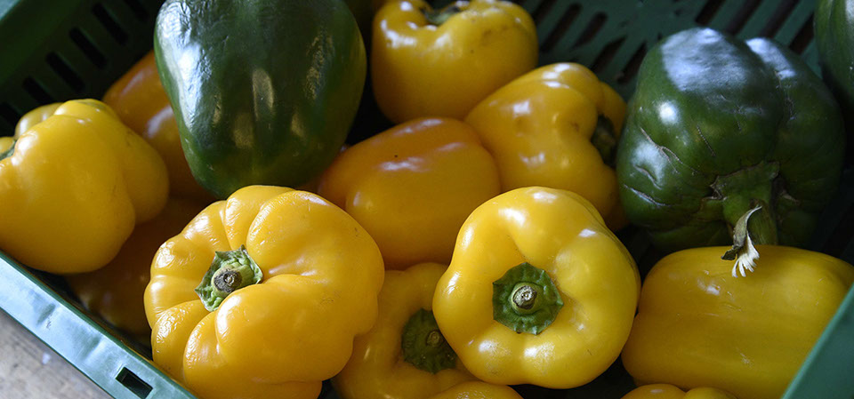 Our wholesale shop in Portree sells excellent food inclduing fresh vegetables