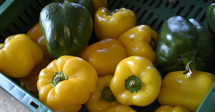 Our wholesale shop in Portree sells excellent food inclduing fresh vegetables