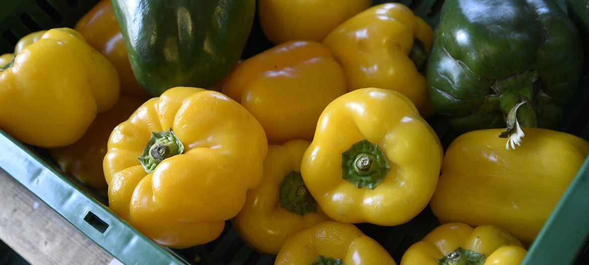 Fresh fruit and vegetable deliveries are available to wholesale customers on the Isle of Skye