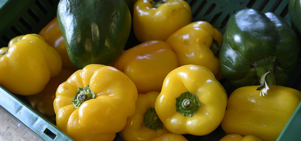 Fresh fruit and vegetable deliveries are available to wholesale customers on the Isle of Skye