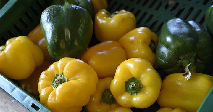 Fresh fruit and vegetable deliveries are available to wholesale customers on the Isle of Skye