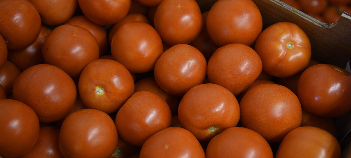 Maggie's Fruit and Veg sell a variety of fresh produce including tomatos and other fresh vegetables in Portree