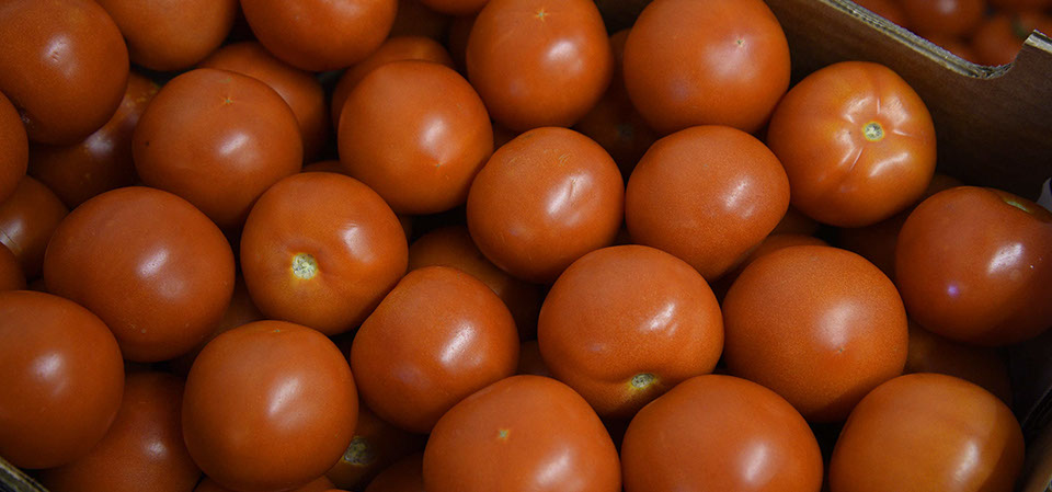 Maggie's Fruit and Veg sell a variety of fresh produce including tomatos and other fresh vegetables in Portree
