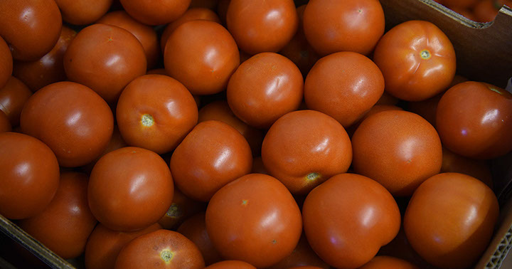 Maggie's Fruit and Veg sell a variety of fresh produce including tomatos and other fresh vegetables in Portree