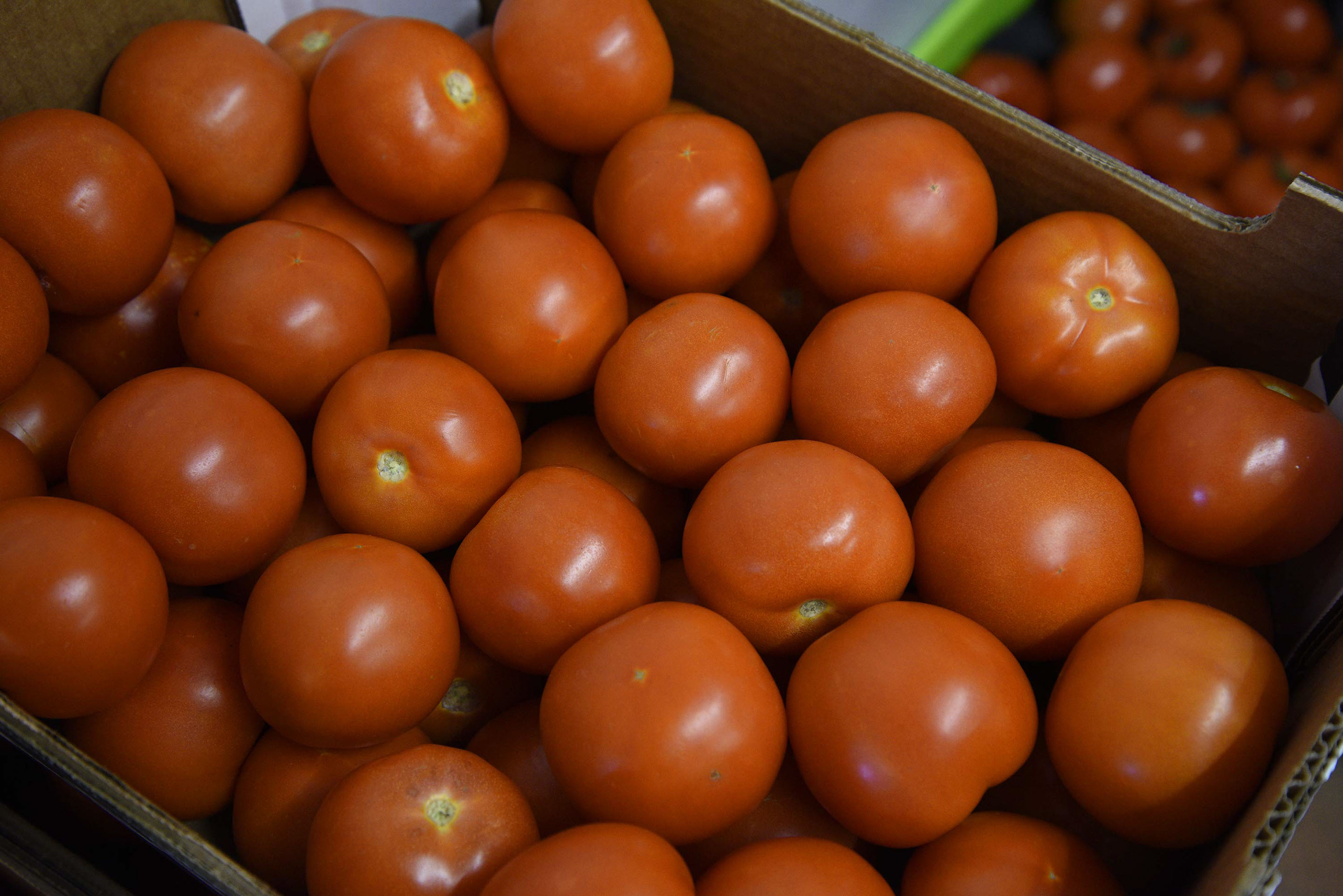 Thistle Dubh Dandy is a self catering accommodation in Portree with open plan design