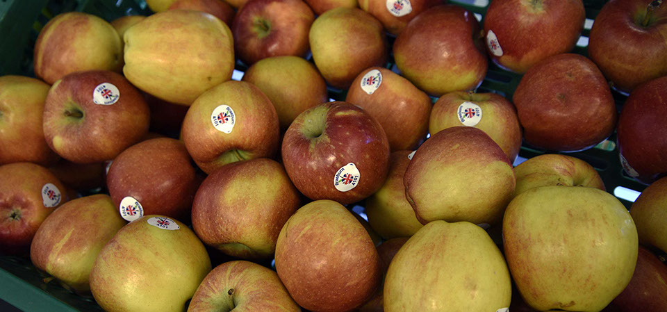 Maggie's Fruit and Veg sell a variety of local produce including apples and other fresh fruit and vegetables in Portree