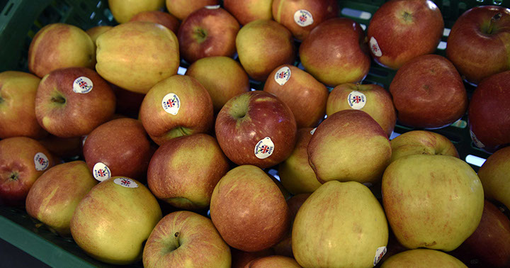 Maggie's Fruit and Veg sell a variety of local produce including apples and other fresh fruit and vegetables in Portree