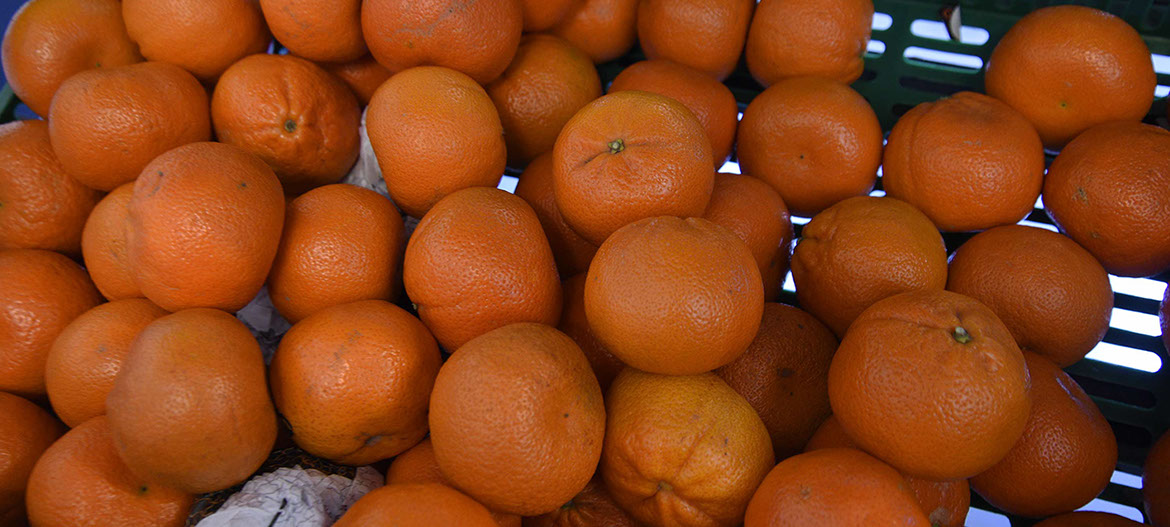 Maggie's Fruit and Veg sell a variety of fresh produce including tangarines in Portree