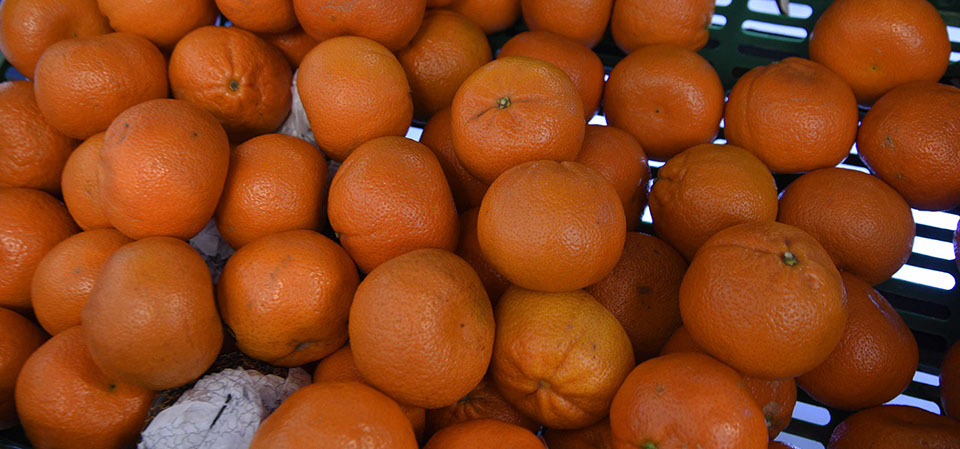 Maggie's Fruit and Veg sell a variety of fresh produce including tangarines in Portree