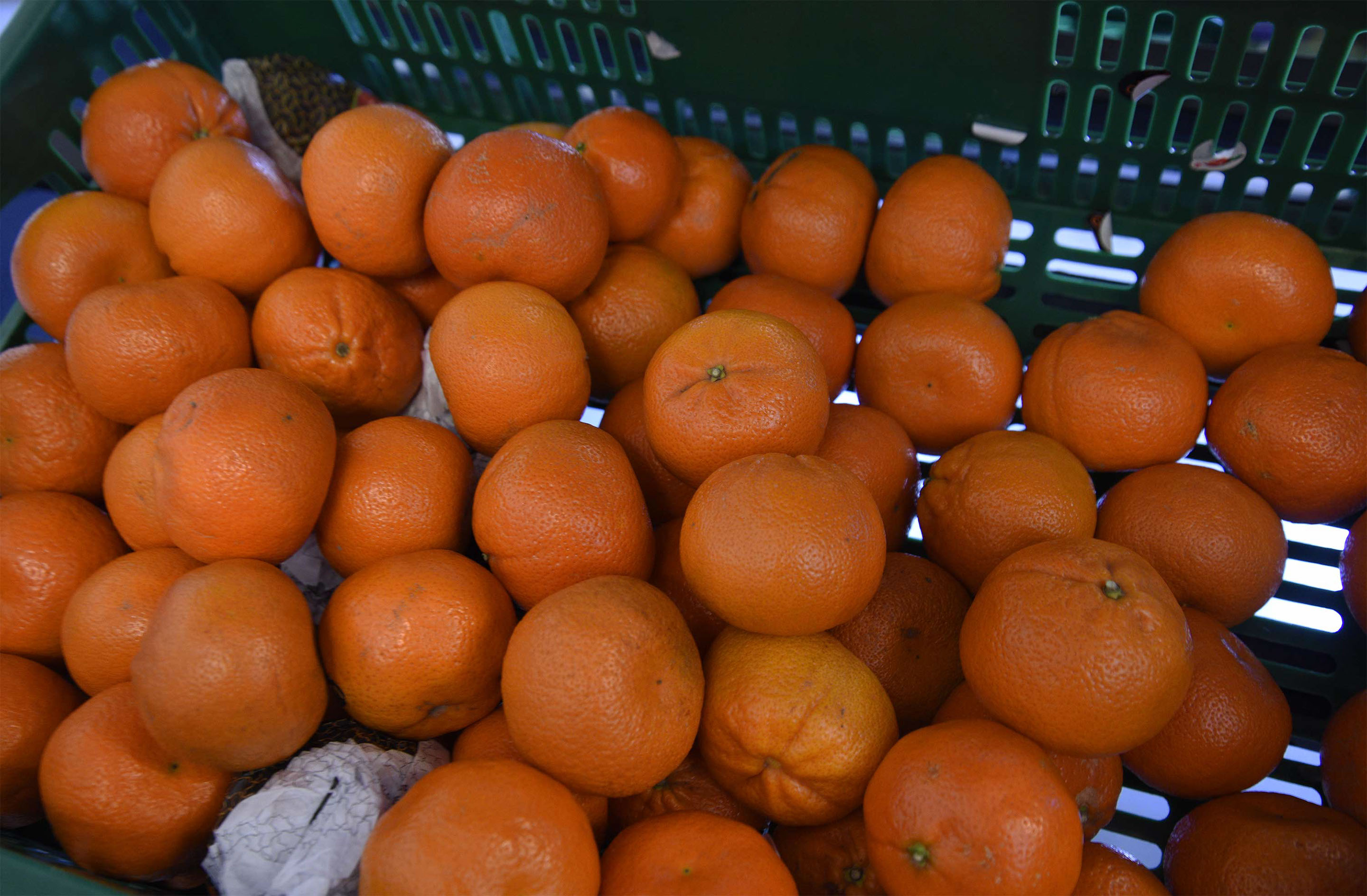 Thistle Dubh Dandy is an open plan self catering accommodation in Portree with modern facilities