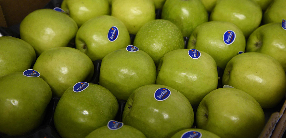 Buy fresh fruit and vegetables in Portree on the Isle of Skye from Maggie's Fruit and Veg