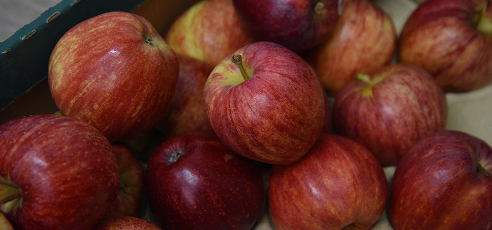 Contact Maggie's Fruit and Veg to purchase your fresh fruit and vegetables in Portree